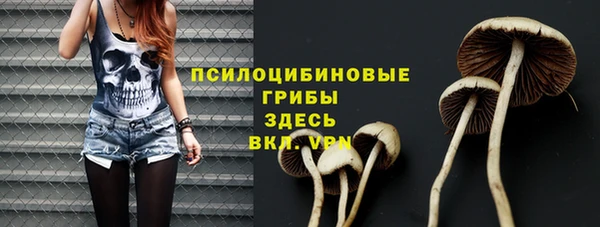 ECSTASY Лиски