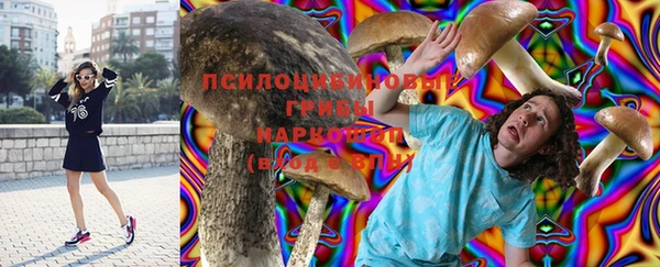 прущая мука Михайлов