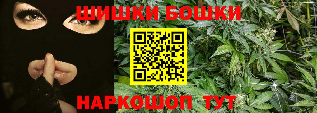 Каннабис сатива Малгобек